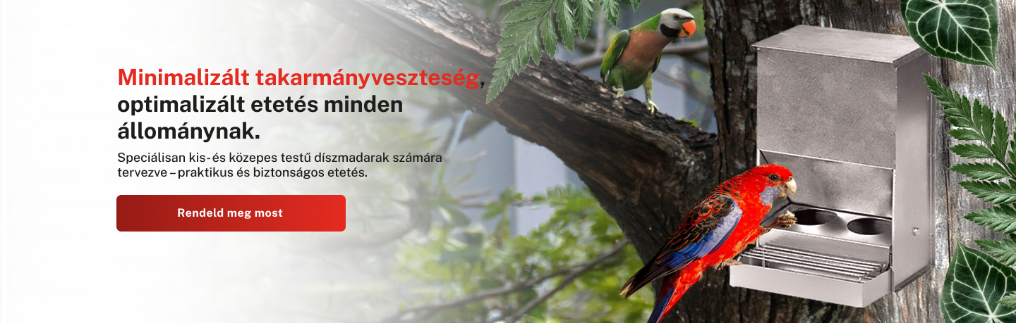 Kezdőlap banner 3 with text