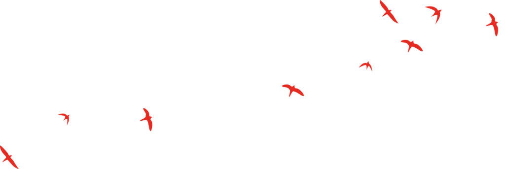 fooldal elem 1