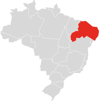 aratinga 2