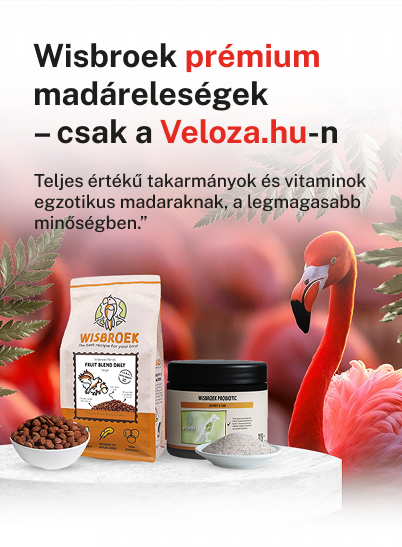 Kezdőlap banner1mobil