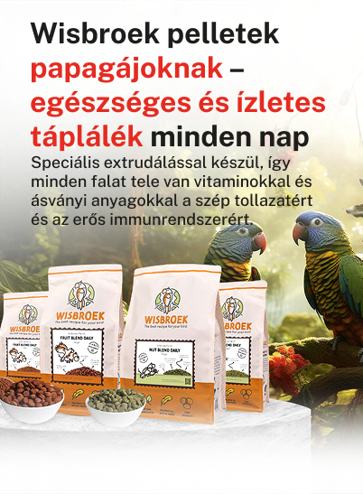 Kezdőlap banner2mobil